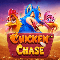 Chicken  Chase